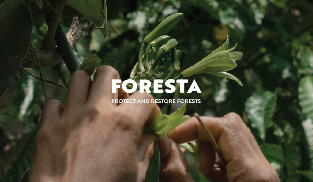 About FORESTA: Our Trusted Source