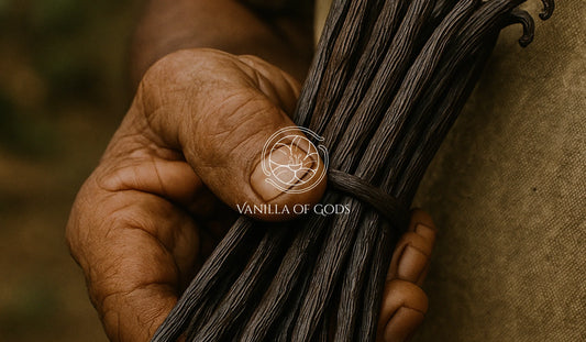 Why Buy from VanillaOfGods?