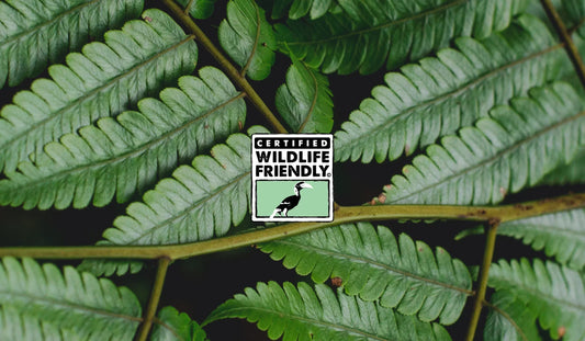 Embracing Sustainability: How VanillaOfGods Champions Wildlife-Friendly Practices